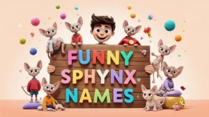 funny sphynx names
