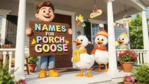 Names for Porch Goose